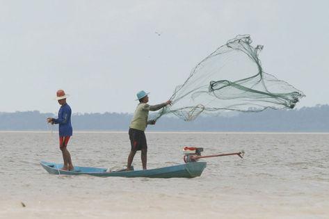 Quadrilha de Pernambuco invade conta de pescadores do PA e saca seguro defeso Quadrilha de Pernambuco invade conta de pescadores do PA e saca seguro defeso