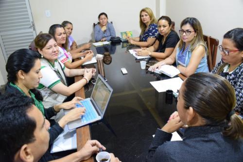Parintins inicia capacitação para investigação de possíveis casos de gripes H1N1 Parintins inicia capacitação para investigação de possíveis casos de gripes H1N1