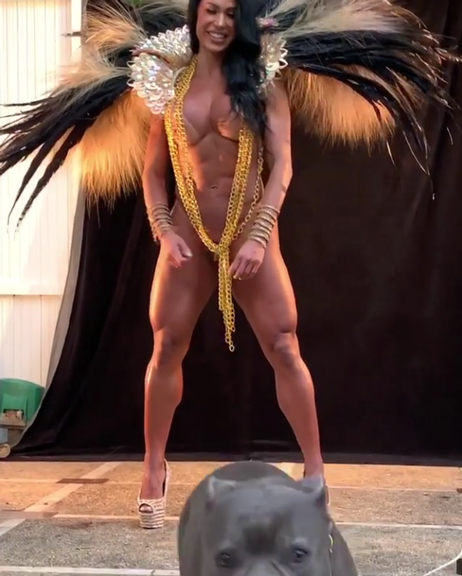 Gracyanne Barbosa volta a causar, aparece quase nua em desfile no Carnaval e causa rebuliço Gracyanne Barbosa volta a causar, aparece quase nua em desfile no Carnaval e causa rebuliço