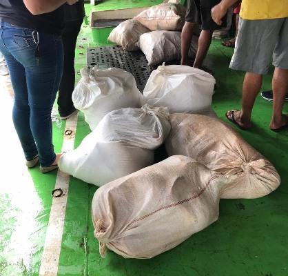 Apreensão de pescado ilegal bate recorde no Amazonas Apreensão de pescado ilegal bate recorde no Amazonas