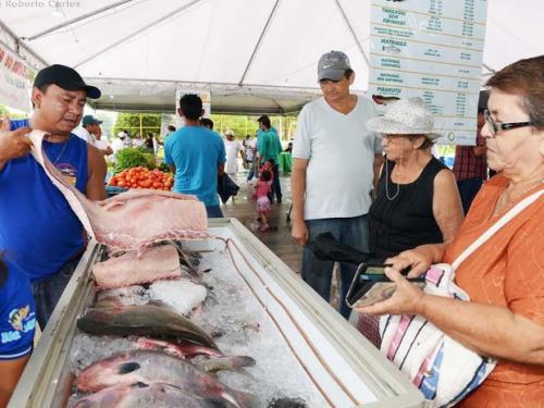 Feirão do Pescado Especial Semana Santa acontece de 16 a 19 de abril Feirão do Pescado Especial Semana Santa acontece de 16 a 19 de abril