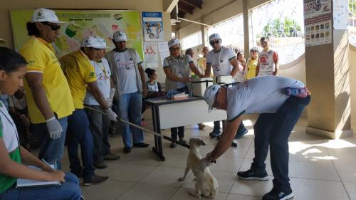 Parintins abre oficialmente a Campanha de Vacinação contra Raiva Animal Parintins abre oficialmente a Campanha de Vacinação contra Raiva Animal