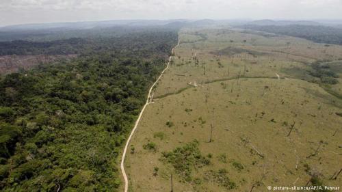 Regularização fundiária do AM será discutida em reunião com Ministério da Agricultura Regularização fundiária do AM será discutida em reunião com Ministério da Agricultura