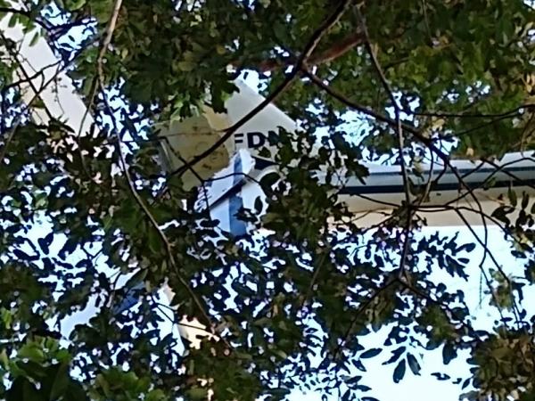 Avião com 68 quilos de droga cai em Coari; piloto está vivo Avião com 68 quilos de droga cai em Coari; piloto está vivo