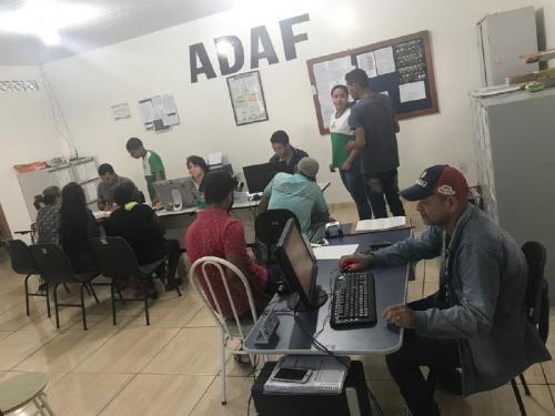 Produtores do AM devem notificar vacinação do rebanho até sábado (15) Produtores do AM devem notificar vacinação do rebanho até sábado (15)