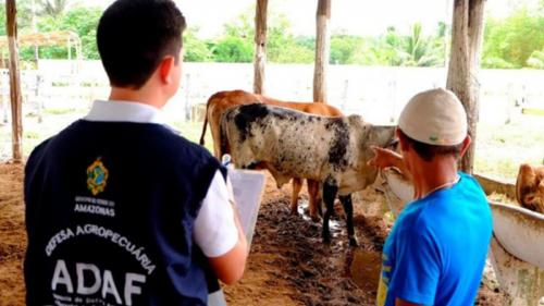 Autazes recebe 1º Fórum Amazonas Livre de Febre Aftosa sem Vacinação Autazes recebe 1º Fórum Amazonas Livre de Febre Aftosa sem Vacinação