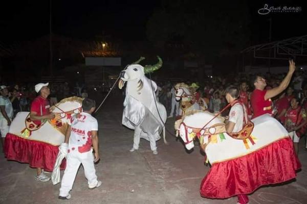 Boi Garantido realiza 'festa da matança' nesta quarta (17), em Parintins Boi Garantido realiza 'festa da matança' nesta quarta (17), em Parintins