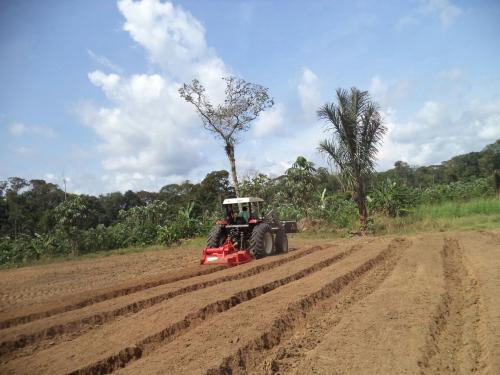 Em Lábrea, setor primário recebe investimentos por meio de crédito rural Em Lábrea, setor primário recebe investimentos por meio de crédito rural