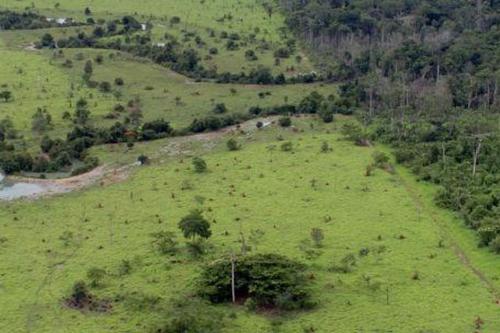 Começa hoje (12) prazo para entrega da declaração de propriedade rural Começa hoje (12) prazo para entrega da declaração de propriedade rural