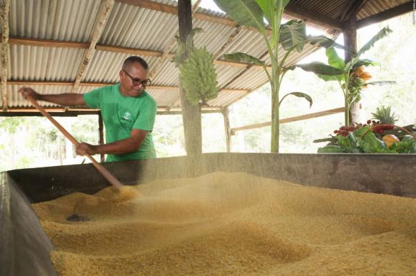 Municípios do Alto Solimões receberão mais de R$ 1,1 milhão para produção rural Municípios do Alto Solimões receberão mais de R$ 1,1 milhão para produção rural