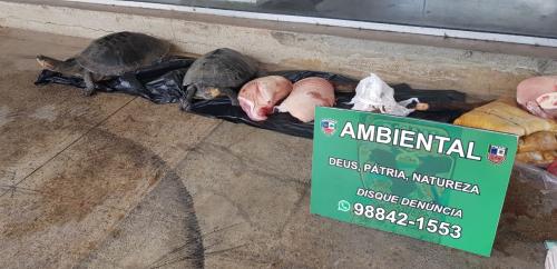 Batalhão apreende pescados, quelônios e carne de caça ilegal na Manaus Moderna Batalhão apreende pescados, quelônios e carne de caça ilegal na Manaus Moderna