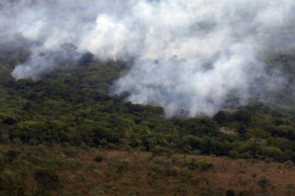 Amazônia receberá R$ 1 bilhão de fundo da Lava Jato Amazônia receberá R$ 1 bilhão de fundo da Lava Jato