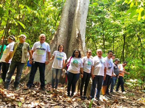 No 'Dia da Árvore', trilha do Parque Estadual Sumaúma é reaberta No 'Dia da Árvore', trilha do Parque Estadual Sumaúma é reaberta