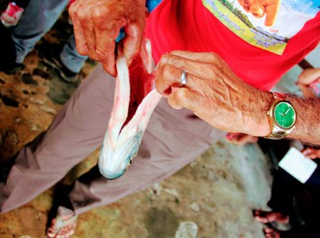 MPF recomenda ao governo do PA que suspenda todos os licenciamentos na Volta Grande do Xingu MPF recomenda ao governo do PA que suspenda todos os licenciamentos na Volta Grande do Xingu