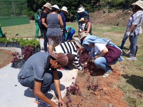Em Manaus, minicurso de jardinagem e paisagismo tem mudança no local Em Manaus, minicurso de jardinagem e paisagismo tem mudança no local