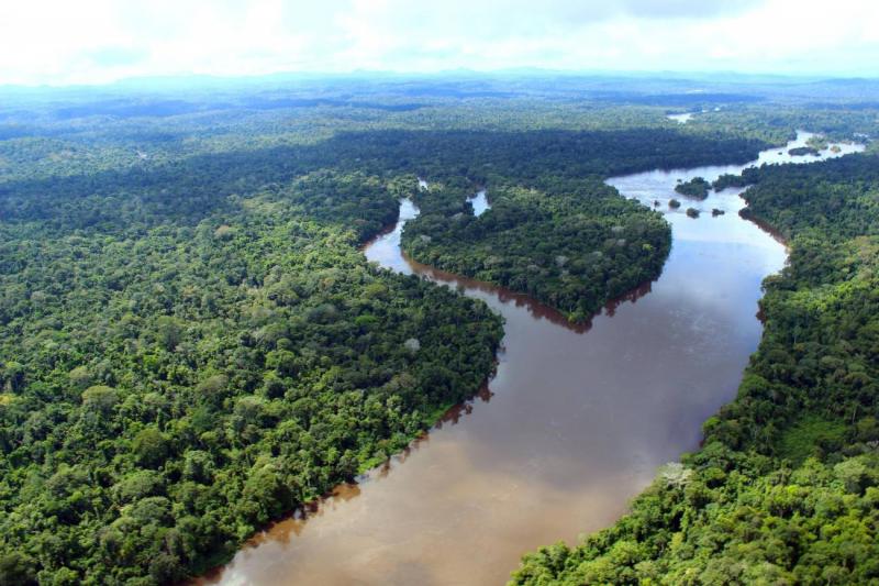 Pará cria 'Fundo da Amazônia Oriental' para desenvolvimento sustentável da região Pará cria 'Fundo da Amazônia Oriental' para desenvolvimento sustentável da região