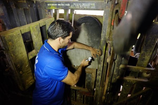 Adaf realiza segunda etapa de campanha contra febre aftosa no Amazonas Adaf realiza segunda etapa de campanha contra febre aftosa no Amazonas