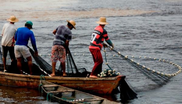 Começa hoje (15) o período de defeso de oito espécies de peixes da Amazônia Começa hoje (15) o período de defeso de oito espécies de peixes da Amazônia