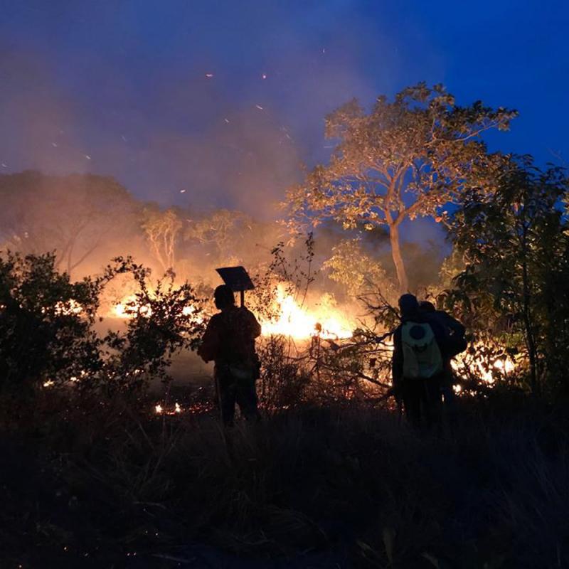 Brigadistas presos denunciaram grileiros e loteadores de Santarém, diz WWF Brigadistas presos denunciaram grileiros e loteadores de Santarém, diz WWF