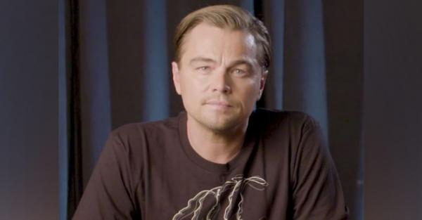 Bolsonaro acusa DiCaprio de pagar para 'tacar fogo' na Amazônia Bolsonaro acusa DiCaprio de pagar para 'tacar fogo' na Amazônia