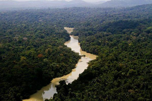 Justiça Federal multa União por não apoiar indígenas isolados do Vale do Javari (AM) Justiça Federal multa União por não apoiar indígenas isolados do Vale do Javari (AM)