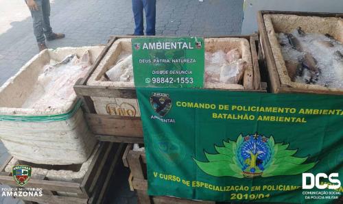 Polícia apreende uma tonelada de pirarucu e aruanã, na Panair, em Manaus Polícia apreende uma tonelada de pirarucu e aruanã, na Panair, em Manaus