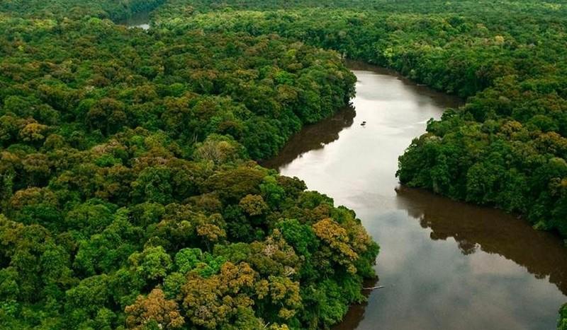 AGU vai em busca de R$ 555,3 milhões de infratores ambientais AGU vai em busca de R$ 555,3 milhões de infratores ambientais