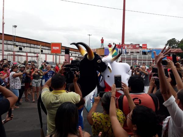 Em cena épica de Garantido e Caprichoso, Parintins se despede de Arlindo Jr Em cena épica de Garantido e Caprichoso, Parintins se despede de Arlindo Jr
