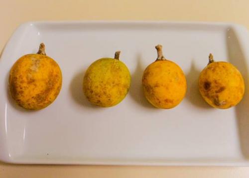 Estudo mostra que caramuri tem três vezes mais vitamina C que a laranja Estudo mostra que caramuri tem três vezes mais vitamina C que a laranja