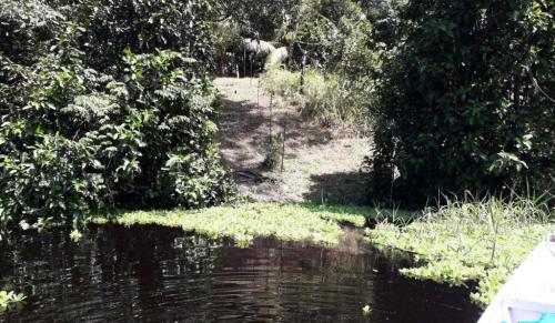 Arqueólogos descobrem conjunto de ilhas artificiais pré-coloniais na Amazônia Arqueólogos descobrem conjunto de ilhas artificiais pré-coloniais na Amazônia