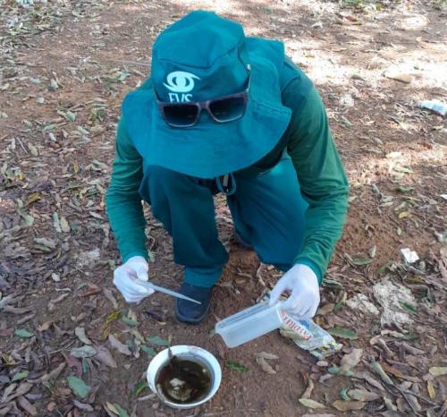 Laboratório Central descarta casos de dengue em Parintins Laboratório Central descarta casos de dengue em Parintins