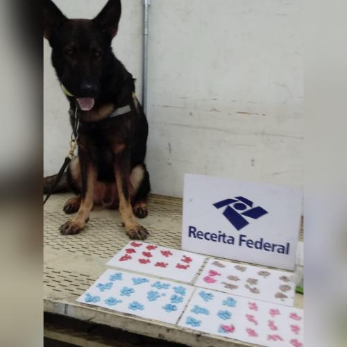 Receita Federal apreende 500 comprimidos de ecstasy avaliados em R$ 25 mil Receita Federal apreende 500 comprimidos de ecstasy avaliados em R$ 25 mil