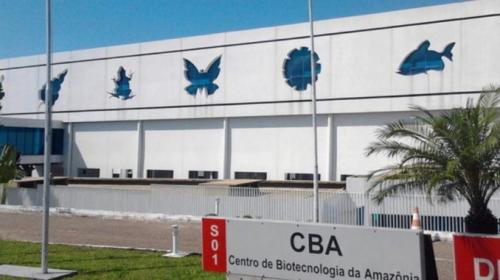 Sem planos para a Amazônia, Mourão visita CBA, em Manaus, nesta quarta (12) Sem planos para a Amazônia, Mourão visita CBA, em Manaus, nesta quarta (12)