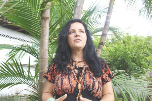 Embrapa Parintins anuncia curso para fortalecer produção de mudas e restaurar áreas degradadas Embrapa Parintins anuncia curso para fortalecer produção de mudas e restaurar áreas degradadas