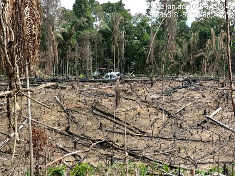 19 procuradores do MPF pedem que Ibama destrua maquinários apreendidos de grileiros em Itaituba 19 procuradores do MPF pedem que Ibama destrua maquinários apreendidos de grileiros em Itaituba