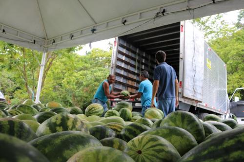 Sepror antecipa pagamento para 112 agricultores de 28 municípios do AM Sepror antecipa pagamento para 112 agricultores de 28 municípios do AM
