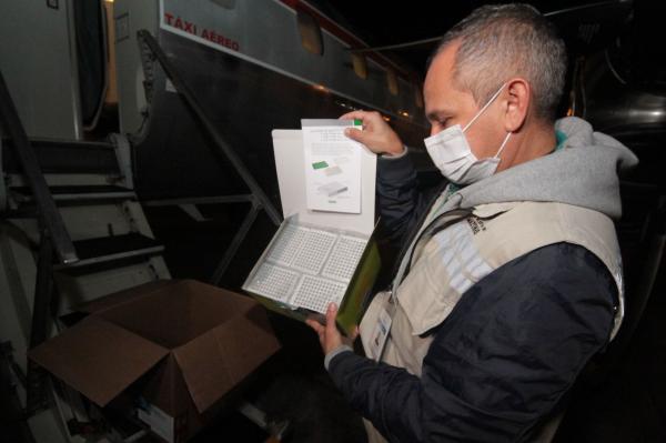 Amazonas recebe lote de insumos para 15 mil testes de Covid-19 Amazonas recebe lote de insumos para 15 mil testes de Covid-19