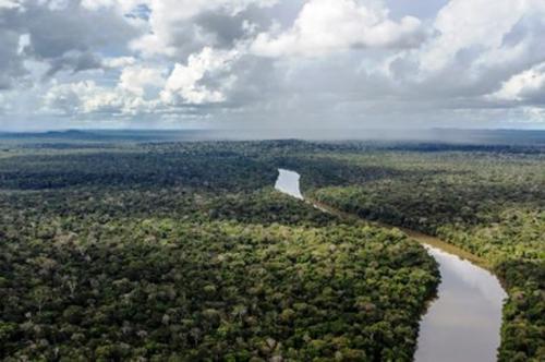 MPF quer impedir grilagem de terras indígenas no Amazonas MPF quer impedir grilagem de terras indígenas no Amazonas