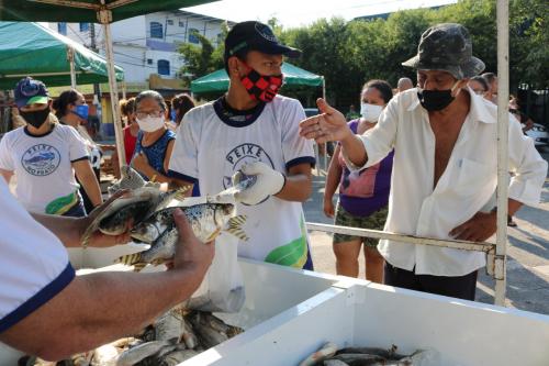 'Peixe no Prato' leva 3,5 toneladas de pescado ao bairro Armando Mendes, em Manaus 'Peixe no Prato' leva 3,5 toneladas de pescado ao bairro Armando Mendes, em Manaus