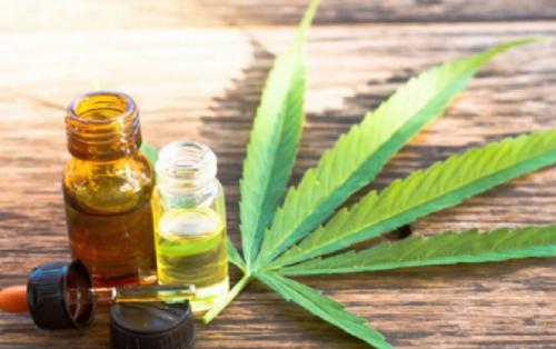 Em decisão histórica, ONU retira maconha da lista de drogas mais perigosas; Brasil vota contra Em decisão histórica, ONU retira maconha da lista de drogas mais perigosas; Brasil vota contra