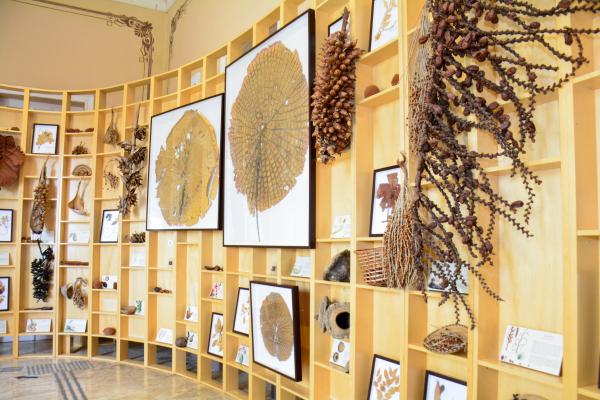 Prefeito reabre Museu da Cidade para visitas e propõe novo nome em homenagem a Óscar Ramos Prefeito reabre Museu da Cidade para visitas e propõe novo nome em homenagem a Óscar Ramos