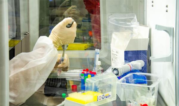 Amazonas confirma dois casos de reinfecção pela nova variante do coronavírus Amazonas confirma dois casos de reinfecção pela nova variante do coronavírus