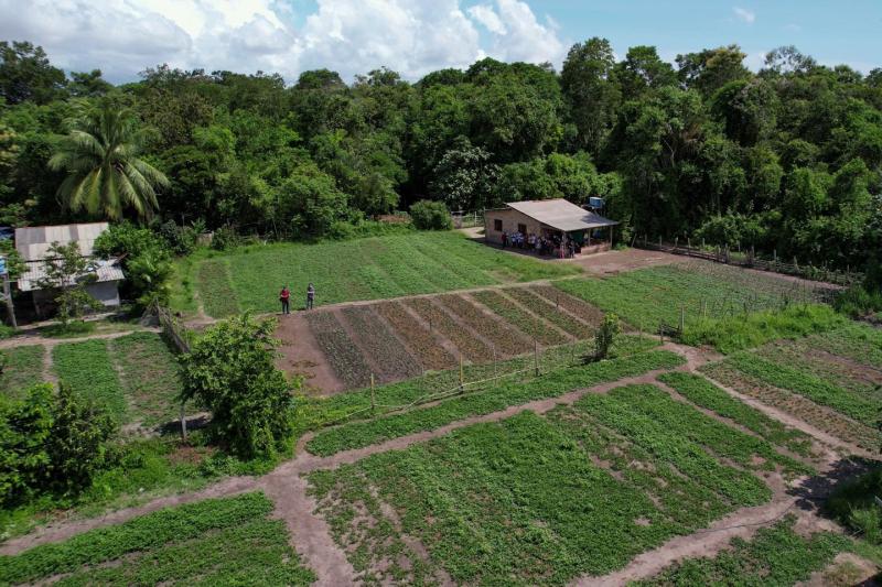 MPF aciona Justiça para que Prefeitura faça plano urgente para proteger Planalto de agrotóxicos