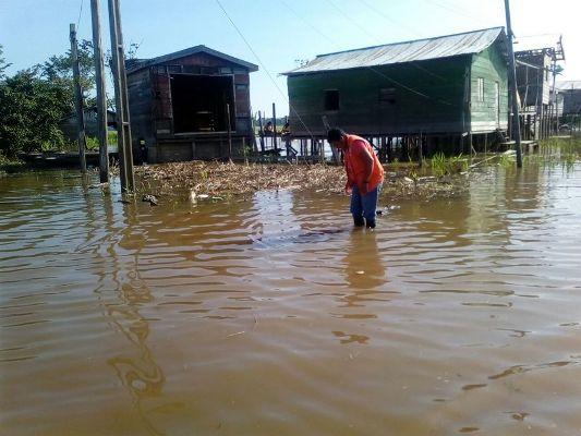 Defesa Civil do AM emite alerta de enchente para região do Alto Solimões Defesa Civil do AM emite alerta de enchente para região do Alto Solimões