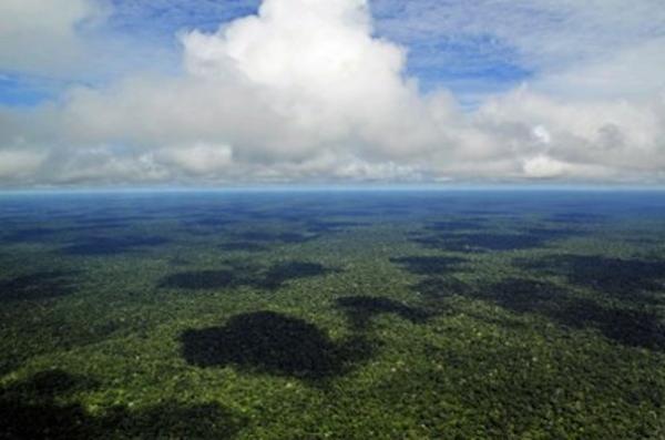 MPF/AM investiga impactos da mineração em áreas de proteção no sul do Amazonas MPF/AM investiga impactos da mineração em áreas de proteção no sul do Amazonas