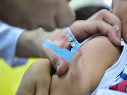Doze municípios do AM atingiram a meta da campanha de vacinação contra a gripe Doze municípios do AM atingiram a meta da campanha de vacinação contra a gripe