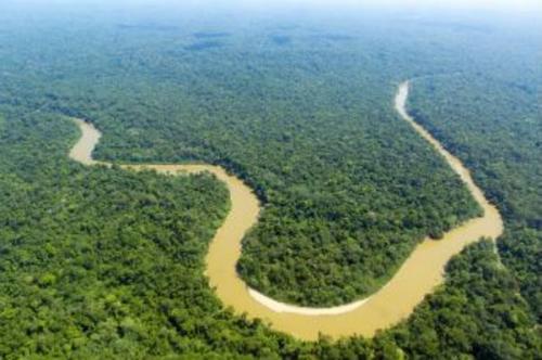 Fundo Amazônia vai investir R$ 150 milhões em novos projetos de conservação Fundo Amazônia vai investir R$ 150 milhões em novos projetos de conservação