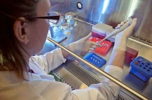 Ministério da Saúde anuncia R$ 27 milhões para tratamento de vítimas da zika Ministério da Saúde anuncia R$ 27 milhões para tratamento de vítimas da zika