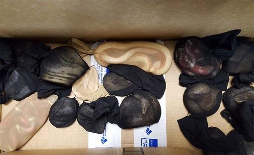 Homem que pagou R$ 3 mil por 18 cobras e 12 lagartos é multado em R$ 100 mil Homem que pagou R$ 3 mil por 18 cobras e 12 lagartos é multado em R$ 100 mil