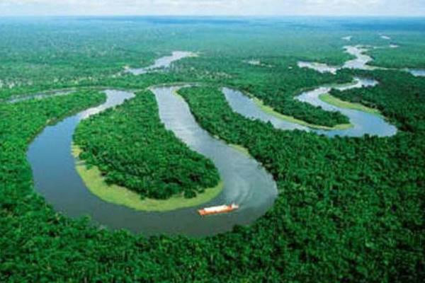 Novas cidades integram lista de prioridade de preservação na Amazônia Novas cidades integram lista de prioridade de preservação na Amazônia